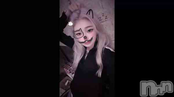 ��🎶��