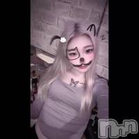 9��17�� 17��58ʬ�Υ֥���