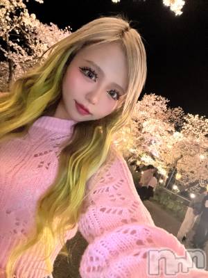 ��Į����Х��顦�����Lounge R Style(�饦�󥸥����륹������) ��ޤ�4��14���̥�֥�����(*ˊ꒳ˋ*)🌸��