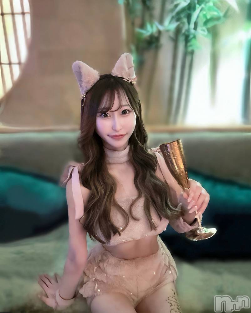 ĮХ顦Lounge R Style(饦󥸥륹) ʤ1123̥֥🐈 ⸝⸝ .⋆⟡