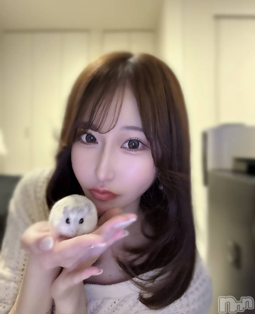 ��Į����Х��顦�����Lounge R Style(�饦�󥸥����륹������) ��ʤ�1��16���̥�֥�����👼🏻‎‎ෆ���*��