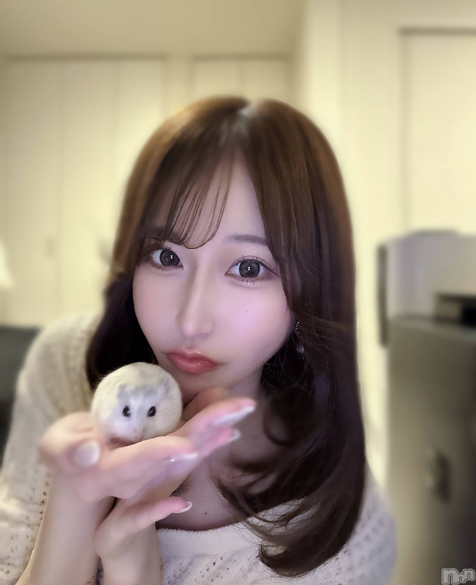 ��Į����Х��顦�����Lounge R Style(�饦�󥸥����륹������) ��2026ǯ1��16���̥�֥�����👼🏻‎‎ෆ���*��