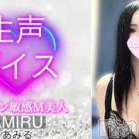 あみる