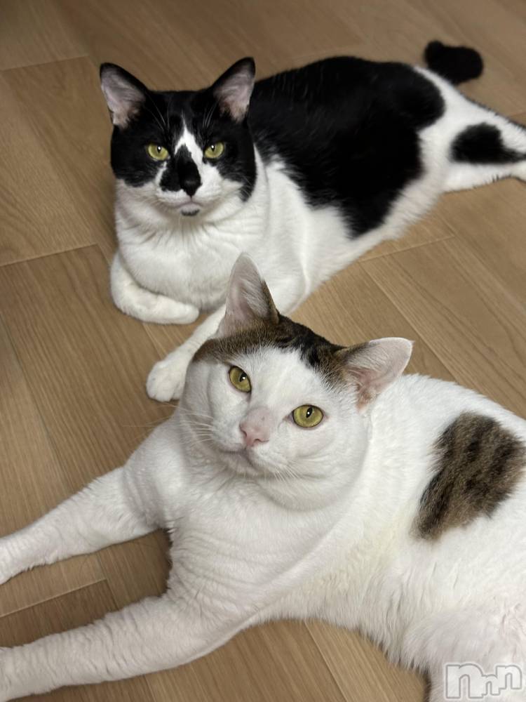 ĮХ顦Club Ruby(֥ӡ) ī ߤ餤922̥֥֤ݤ🐈💞