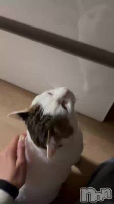 �ˤ�󤴤���^_ .̫ _^��🩷