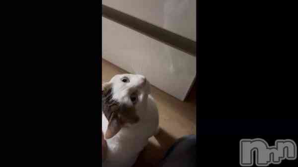 �֤ˤ�󤴤���^_ .̫ _^��🩷��