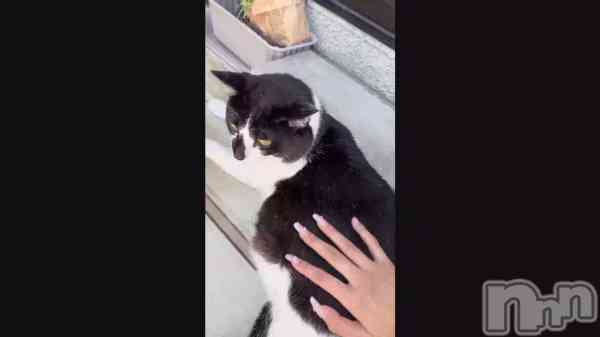 �֤��Ǥ֤ͤ�����🐱��