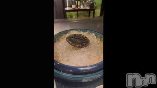 �������Ƥ�‼️🩷��