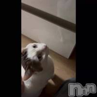 �ˤ�󤴤���^_ .̫ _^��🩷