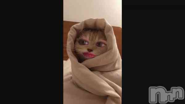 �֤����🐈��