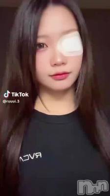 1012 0824ʬư