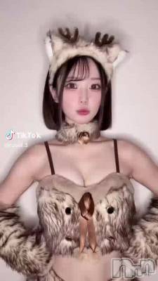 1��6�� 21��00ʬ��ư��