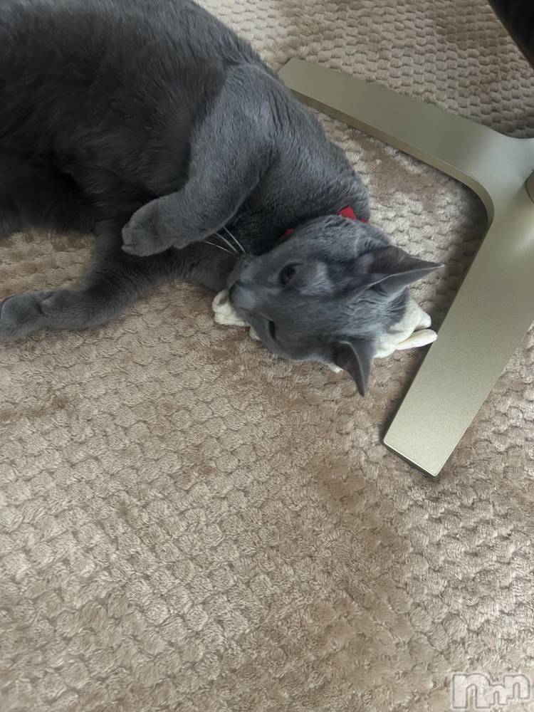 ��Į����Х��顦�����Club Ruby(����֥�ӡ�) ���ڤĤФ���3��25���̥�֥����֤ˤ�󤳡�