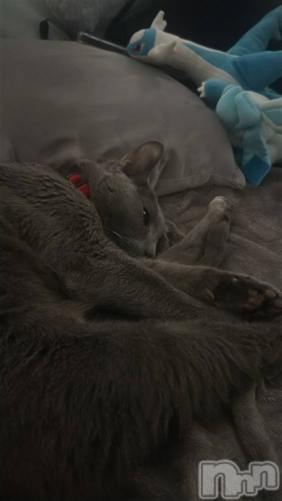 ��Į����Х��顦�����Club Ruby(����֥�ӡ�) ���ڤĤФ���4��21���̥�֥����ֺ����Τͤ���