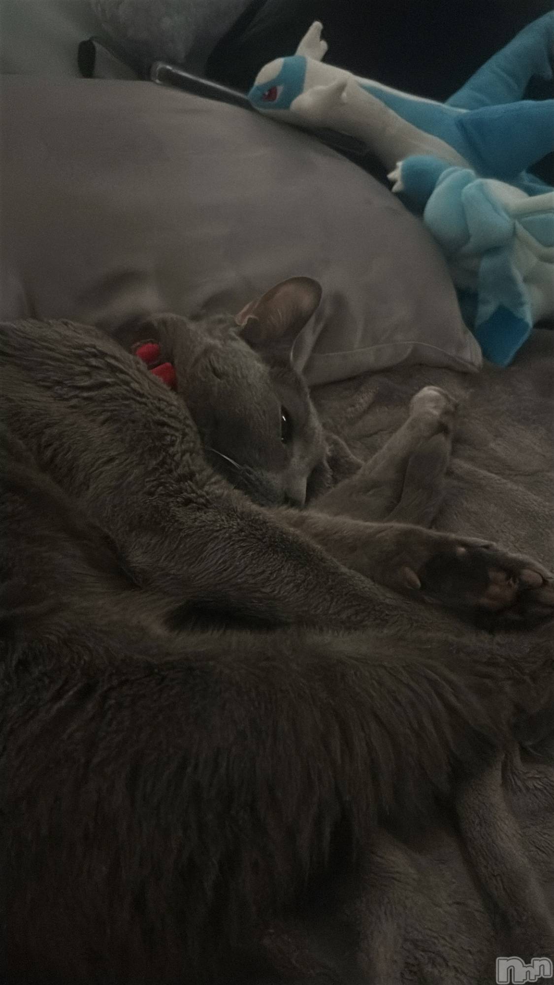 ��Į����Х��顦�����Club Ruby(����֥�ӡ�) ��2026ǯ4��21���̥�֥����ֺ����Τͤ���