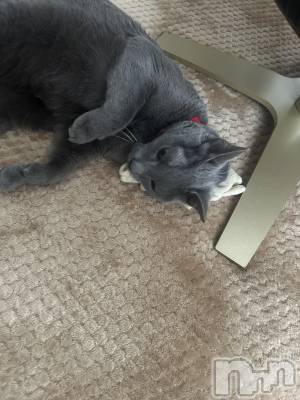 ��Į����Х��顦�����Club Ruby(����֥�ӡ�) ���ڤĤФ���3��25���̥�֥����֤ˤ�󤳡�