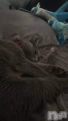 ��Į����Х��顦�����Club Ruby(����֥�ӡ�) ���ڤĤФ���4��21���̥�֥����ֺ����Τͤ���