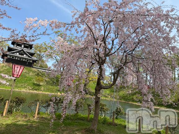 上越デリヘルBLUE BIRD上越店(ブルーバード上越店)シャネル(25)の2026年4月14日写メブログ「予約状況」