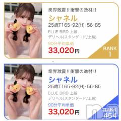 上越デリヘルBLUE BIRD上越店(ブルーバード上越店) シャネル(25)の8月19日写メブログ「2ヶ月連続😻新潟1位😻最高級嬢ランキング😻」