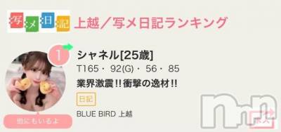 上越デリヘル BLUE BIRD上越店(ブルーバード上越店) シャネル(25)の7月7日写メブログ「1位ランクイン❣️」