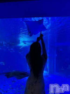 上越デリヘル BLUE BIRD上越店(ブルーバード上越店) シャネル(25)の9月29日写メブログ「能登水族館♡」