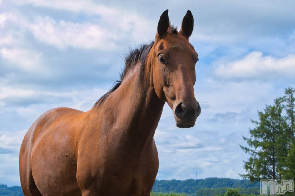 新潟デリヘルCherish Amulet(チェリッシュ アミュレット) はなこ★★ ≪超モデル級≫(22)の1月2日写メブログ「ご挨拶遅くなりました」