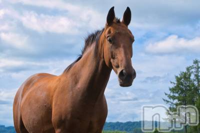 新潟デリヘル Cherish Amulet(チェリッシュ アミュレット) はなこ★★ ≪超モデル級≫(22)の1月2日写メブログ「ご挨拶遅くなりました」