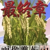 おもち(29)
