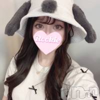 ちょこ