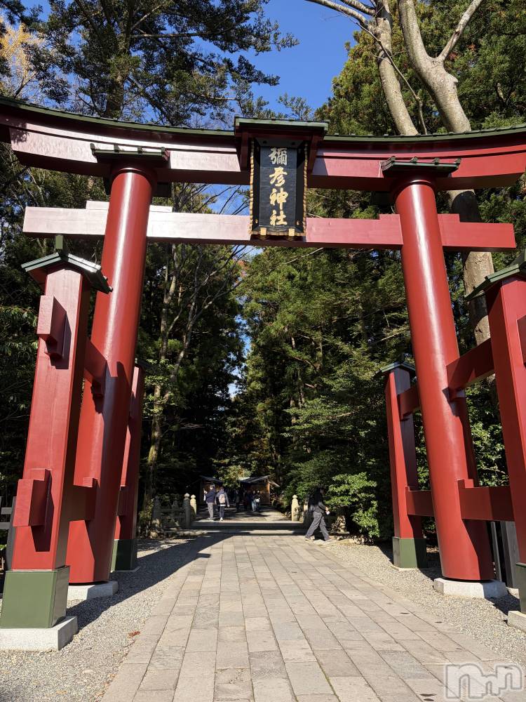 ʥå륺С饪ϥܡbarͻ(饪ϥܡСӥ󥷥ޥ) ᤤ126ֹ̥֥ա