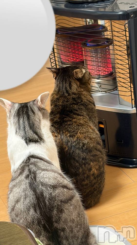 ʥå륺С饪ϥܡbarͻ(饪ϥܡСӥ󥷥ޥ) ᤤ1210̥֥ǭ