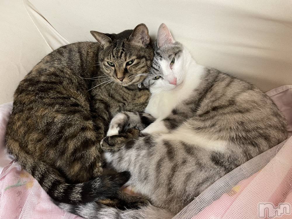 ʥå륺С饪ϥܡbarͻ(饪ϥܡСӥ󥷥ޥ) ᤤ1212̥֥ǭ