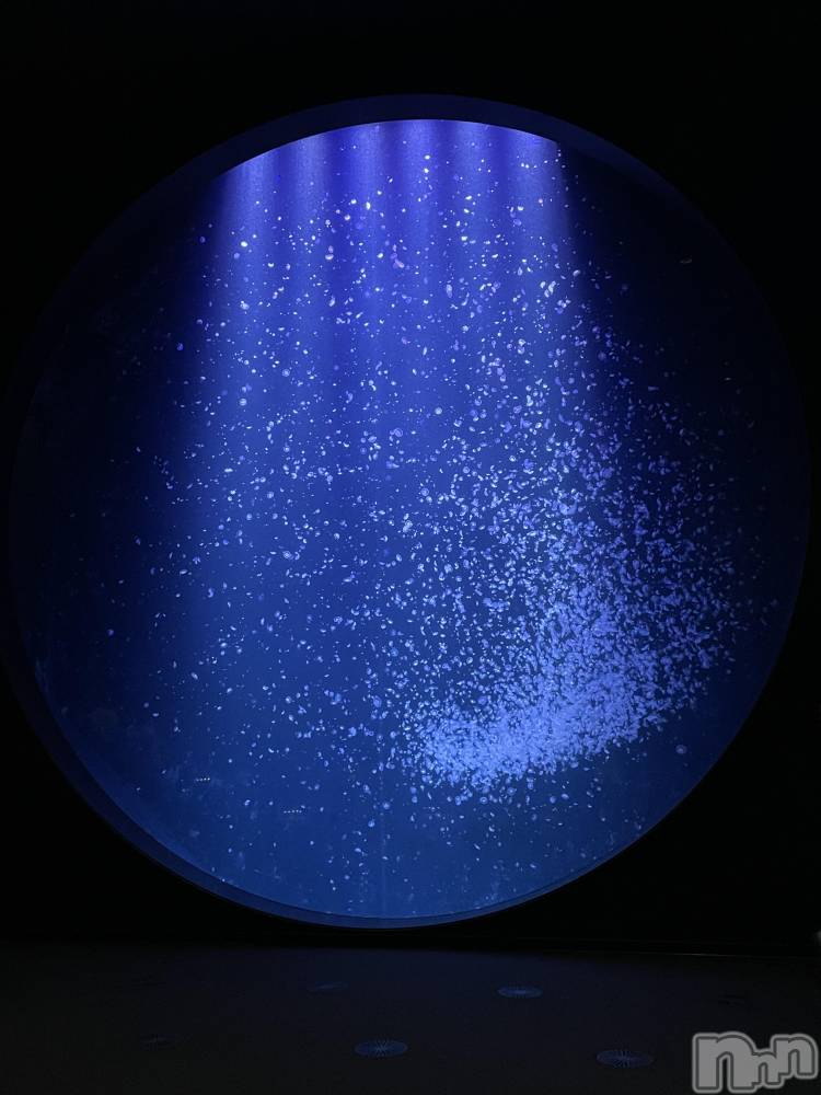 ����������ʥå��������륺�С����饪���ϥ��ܡ���bar���ͻ���(���饪���ϥ��ܡ���С��ӥ��󥷥ޥ�) �ᤤ��3��20���̥�֥����ֿ�²�ۡ�