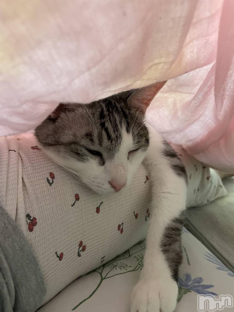 ����������ʥå��������륺�С����饪���ϥ��ܡ���bar���ͻ���(���饪���ϥ��ܡ���С��ӥ��󥷥ޥ�) �ᤤ��3��22���̥�֥�����ǭ������