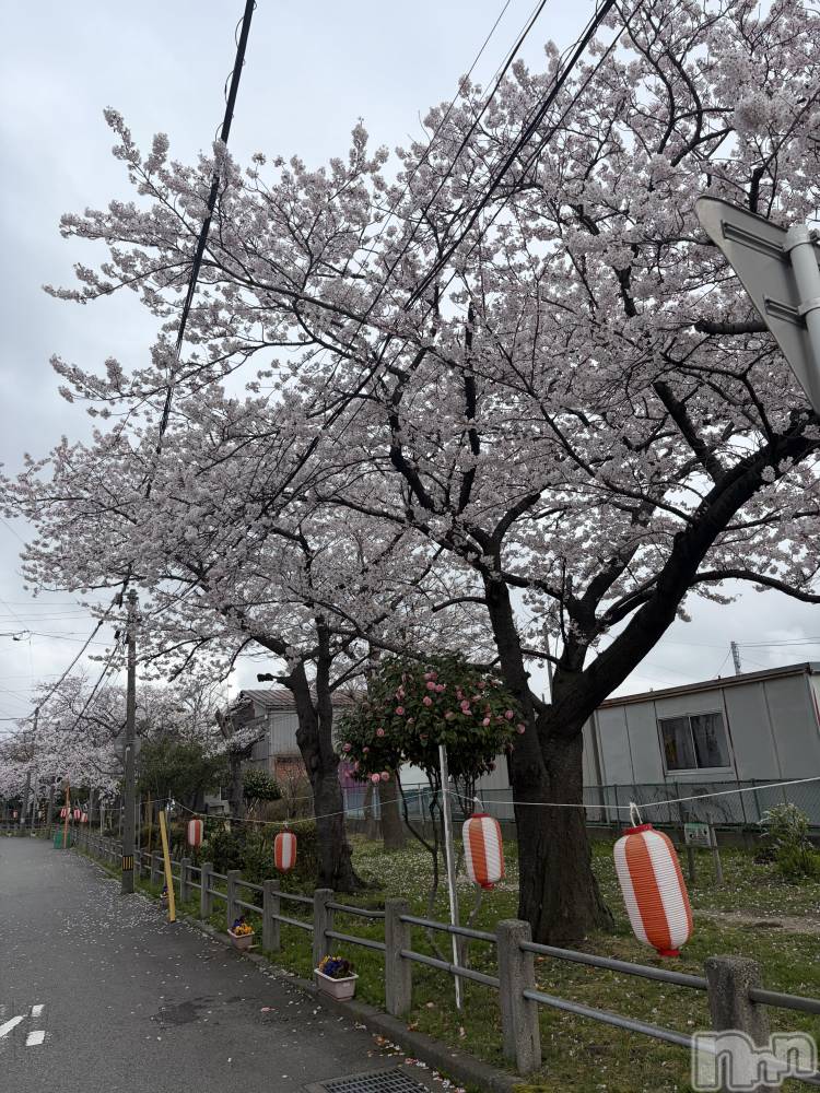 ����������ʥå��������륺�С����饪���ϥ��ܡ���bar���ͻ���(���饪���ϥ��ܡ���С��ӥ��󥷥ޥ�) �ᤤ��4��5���̥�֥����ֺ���