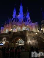 ����������ʥå��������륺�С����饪���ϥ��ܡ���bar���ͻ���(���饪���ϥ��ܡ���С��ӥ��󥷥ޥ�) �ᤤ��3��14���̥�֥����֥ǥ����ˡ���