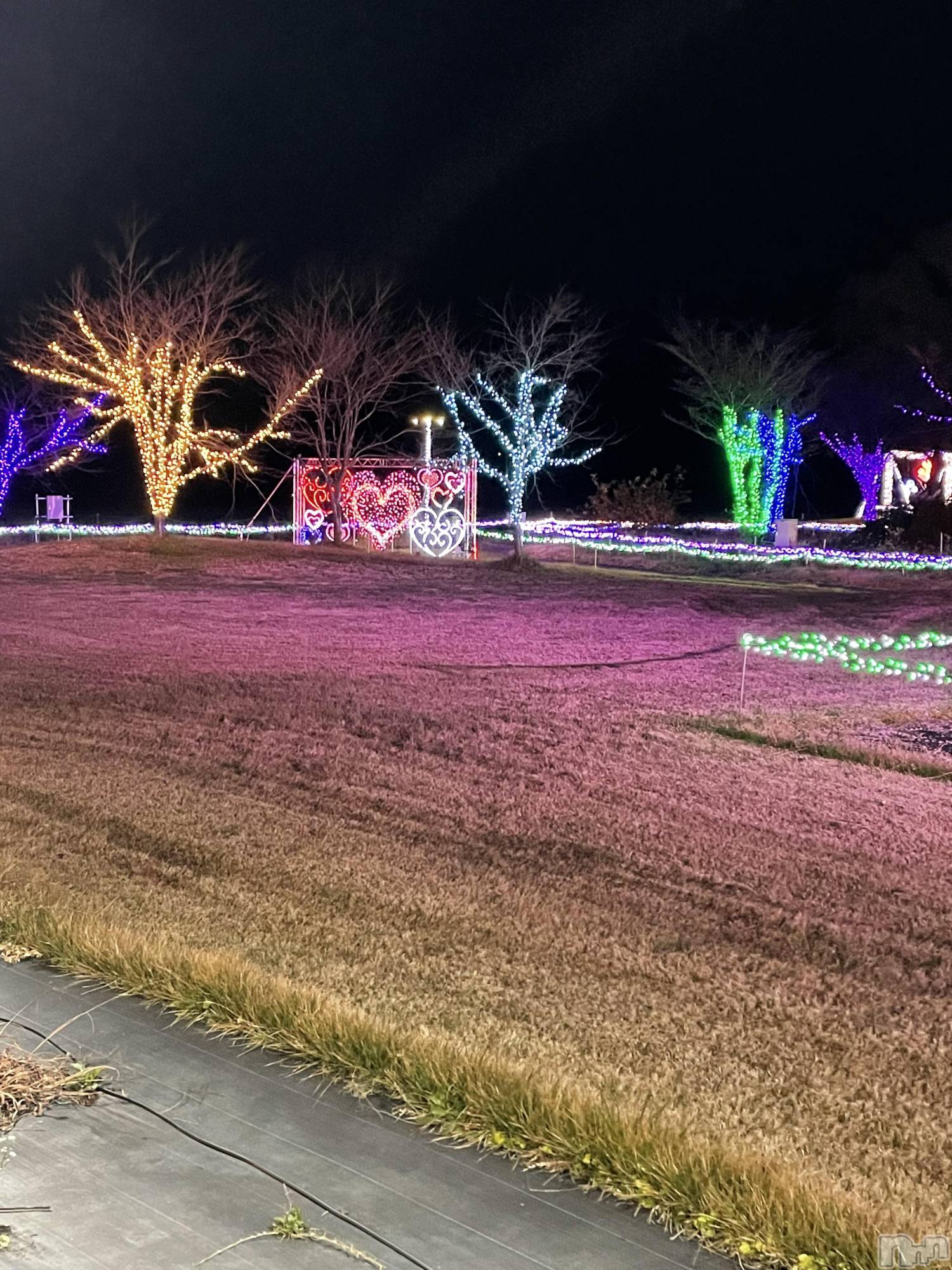 ����������ʥå��������륺�С����饪���ϥ��ܡ���bar���ͻ���(���饪���ϥ��ܡ���С��ӥ��󥷥ޥ�) ��2025ǯ12��24���̥�֥����֥��ꥹ�ޥ����֡�