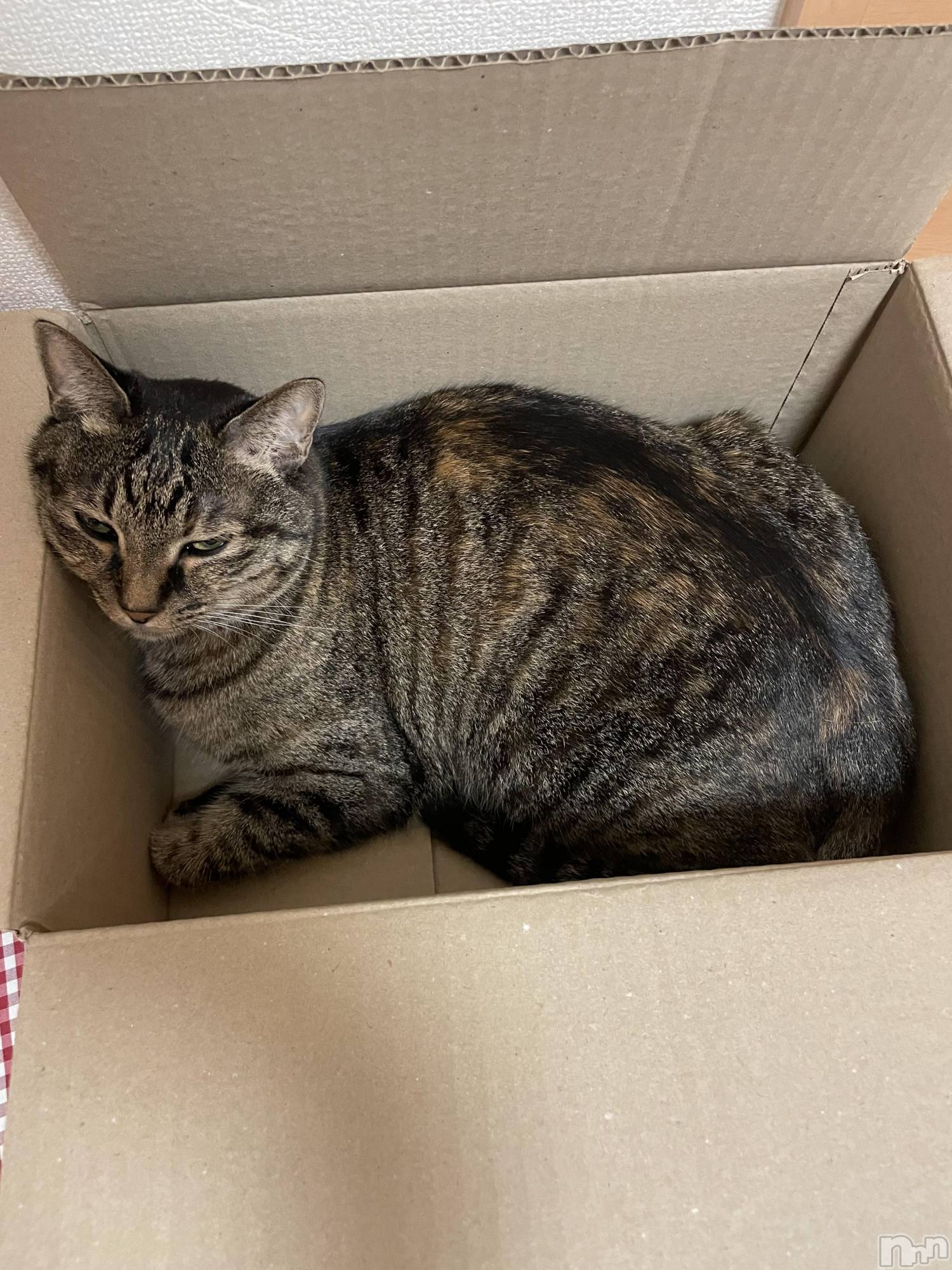 ����������ʥå��������륺�С����饪���ϥ��ܡ���bar���ͻ���(���饪���ϥ��ܡ���С��ӥ��󥷥ޥ�) ��2025ǯ12��26���̥�֥�����ǭ������