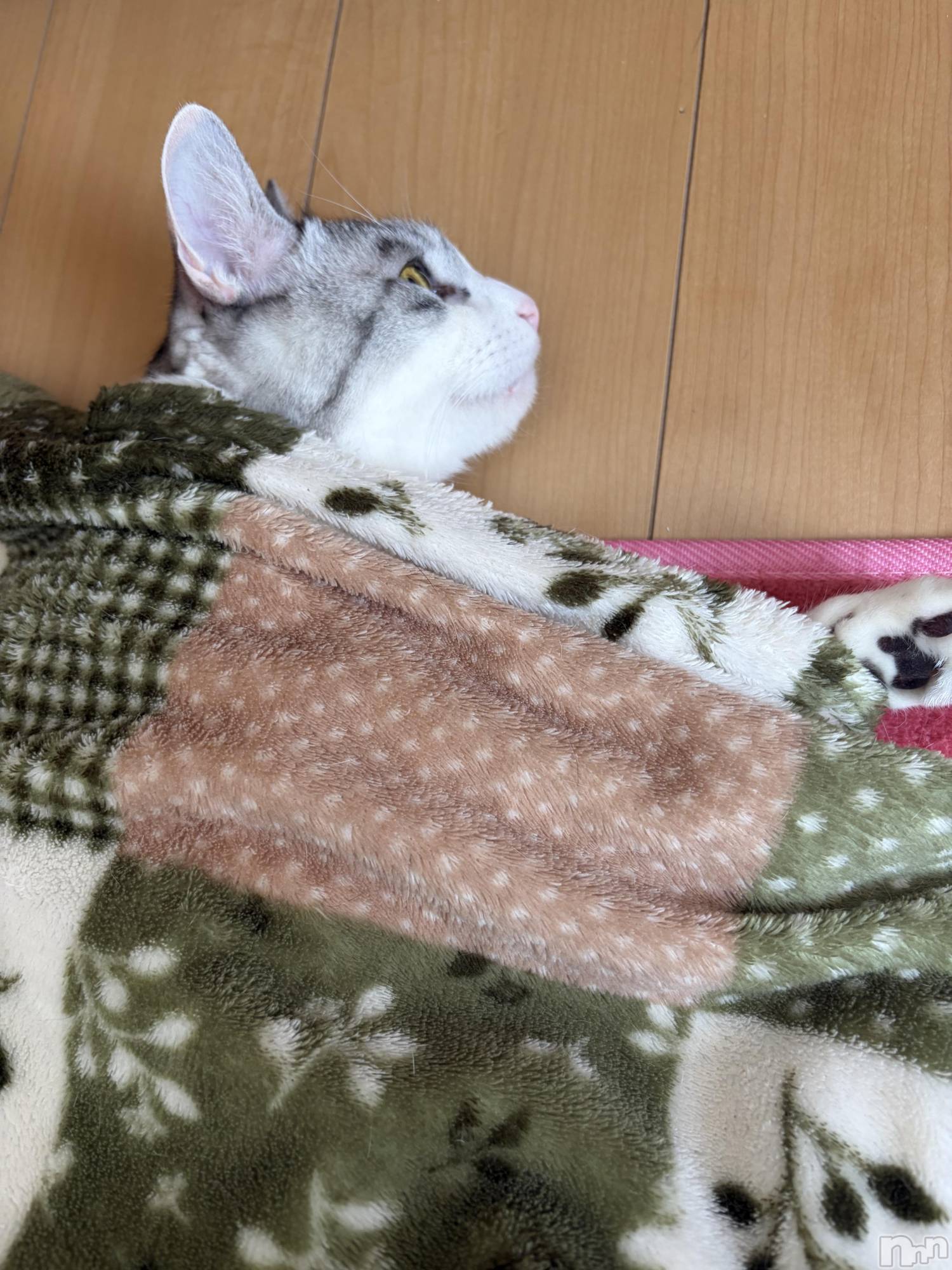 ����������ʥå��������륺�С����饪���ϥ��ܡ���bar���ͻ���(���饪���ϥ��ܡ���С��ӥ��󥷥ޥ�) ��2026ǯ2��18���̥�֥�����ǭ������