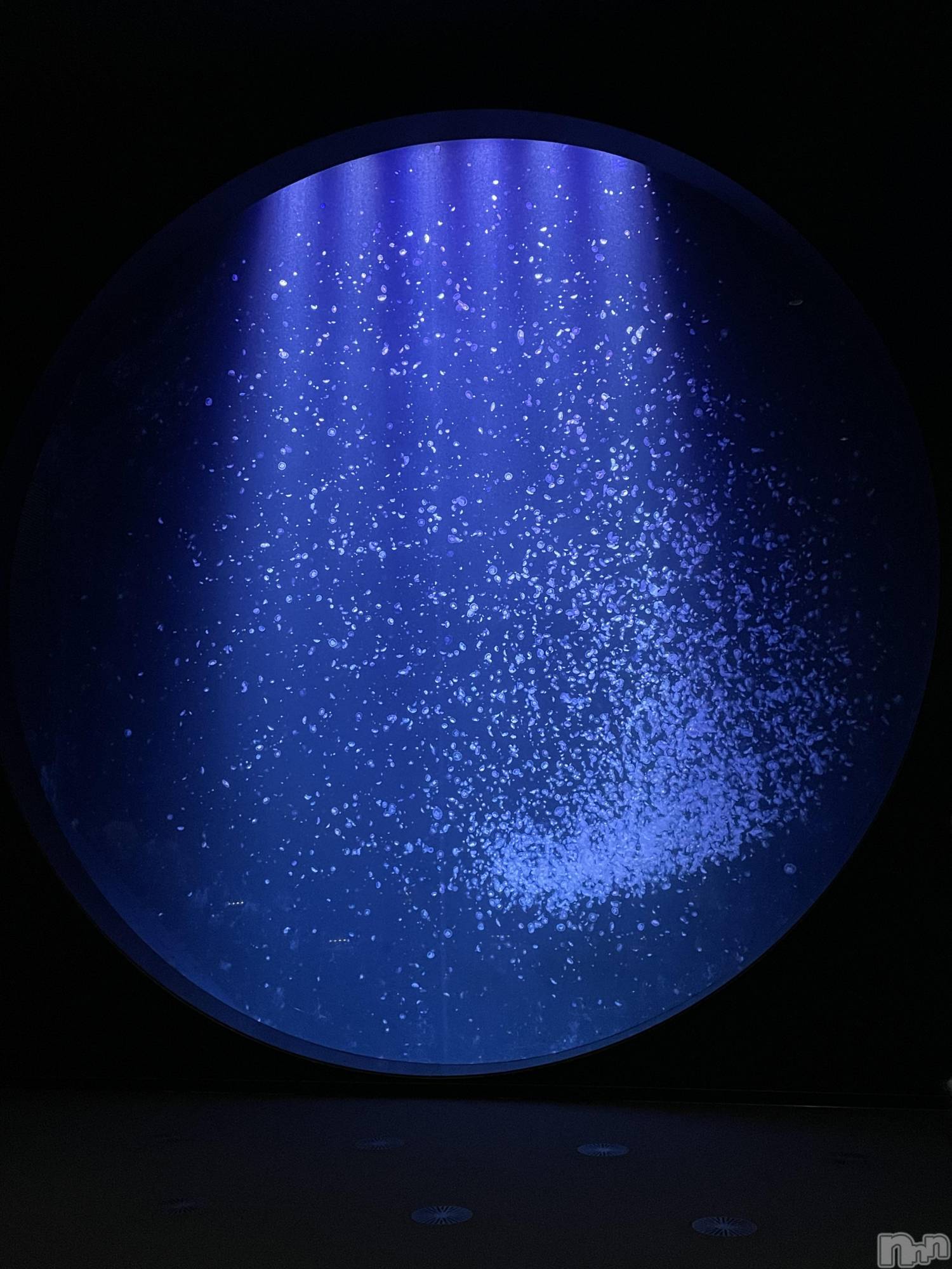 ����������ʥå��������륺�С����饪���ϥ��ܡ���bar���ͻ���(���饪���ϥ��ܡ���С��ӥ��󥷥ޥ�) ��2026ǯ3��20���̥�֥����ֿ�²�ۡ�