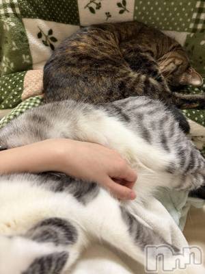 ����������ʥå��������륺�С����饪���ϥ��ܡ���bar���ͻ���(���饪���ϥ��ܡ���С��ӥ��󥷥ޥ�) �ᤤ��2��13���̥�֥�����ǭ��