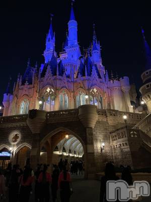 ����������ʥå��������륺�С����饪���ϥ��ܡ���bar���ͻ���(���饪���ϥ��ܡ���С��ӥ��󥷥ޥ�) �ᤤ��3��14���̥�֥����֥ǥ����ˡ���