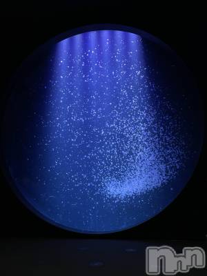 ����������ʥå��������륺�С����饪���ϥ��ܡ���bar���ͻ���(���饪���ϥ��ܡ���С��ӥ��󥷥ޥ�) �ᤤ��3��20���̥�֥����ֿ�²�ۡ�