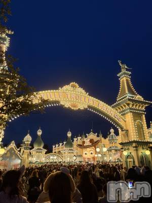 ����������ʥå��������륺�С����饪���ϥ��ܡ���bar���ͻ���(���饪���ϥ��ܡ���С��ӥ��󥷥ޥ�) �ᤤ��4��2���̥�֥����֥ǥ����ˡ���