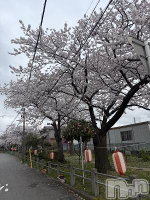 ����������ʥå��������륺�С����饪���ϥ��ܡ���bar���ͻ���(���饪���ϥ��ܡ���С��ӥ��󥷥ޥ�) �ᤤ��4��5���̥�֥����ֺ���