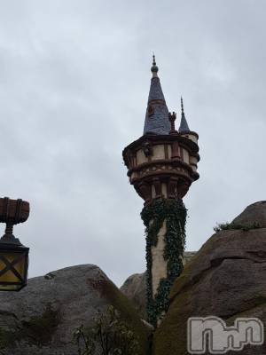 ����������ʥå��������륺�С����饪���ϥ��ܡ���bar���ͻ���(���饪���ϥ��ܡ���С��ӥ��󥷥ޥ�) �ᤤ��4��13���̥�֥����֥ǥ����ˡ���