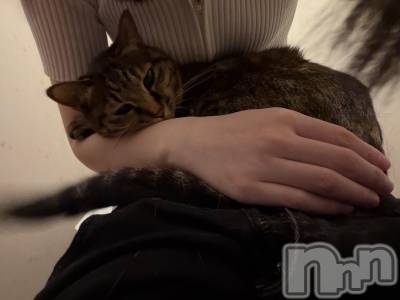 ����������ʥå��������륺�С����饪���ϥ��ܡ���bar���ͻ���(���饪���ϥ��ܡ���С��ӥ��󥷥ޥ�) �ᤤ��7��4���̥�֥�����ǭ������