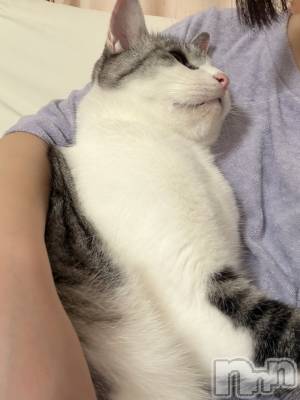����������ʥå��������륺�С����饪���ϥ��ܡ���bar���ͻ���(���饪���ϥ��ܡ���С��ӥ��󥷥ޥ�) �ᤤ��7��17���̥�֥�����ǭ��