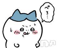 長岡デリヘル BIANCA～主人の知らない私～長岡店(ビアンカナガオカテン) 楠　カレン(28)の9月24日写メブログ「🈵🈵🈵」