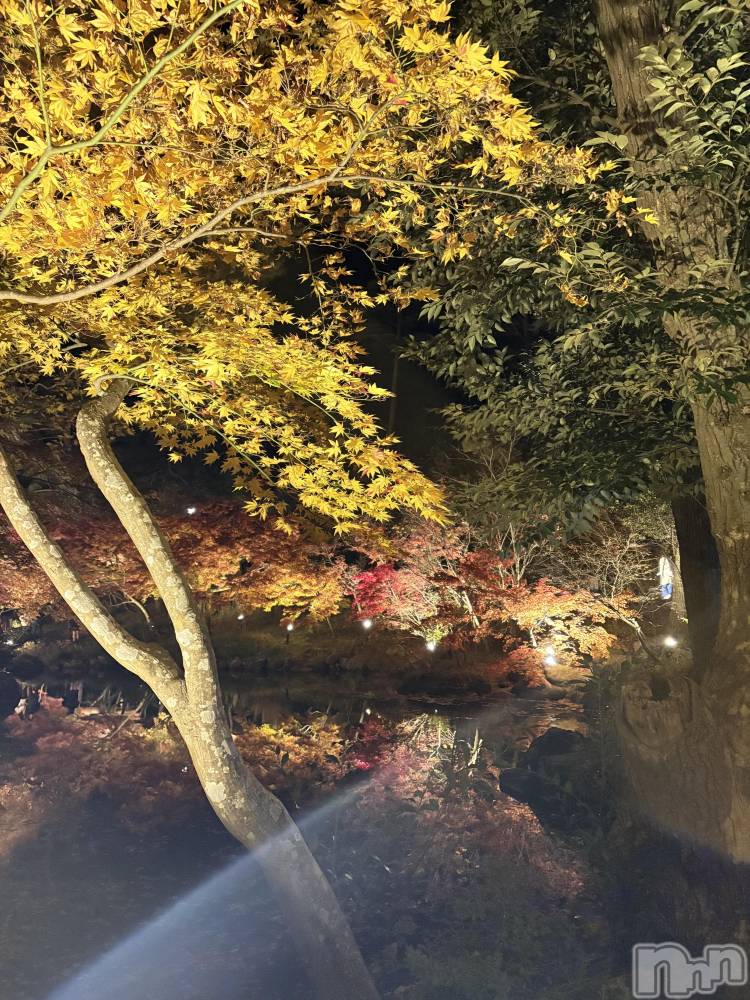 ʥå륺СʥåBar Peace(ʥåС ԡ) ޤʤ1120̥֥🍁